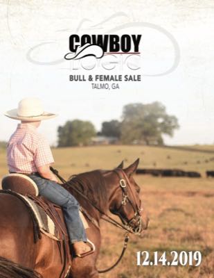 Bull and Female Sale