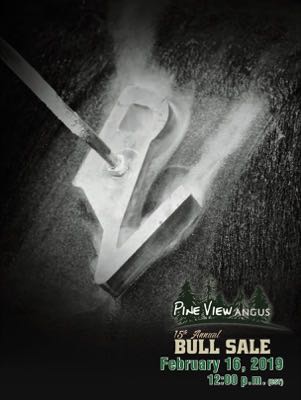 2019 Bull Sale cover