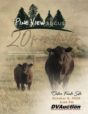 2020 Online Female Sale cover