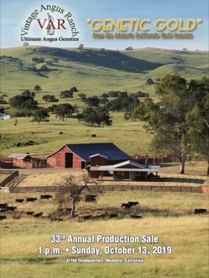 2019 Genetic Gold 33rd Annual Production Sale