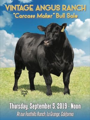 2019 Carcass Maker Bull Sale